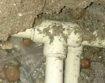 中站测漏水多少钱