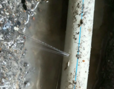 中站测漏水哪家好