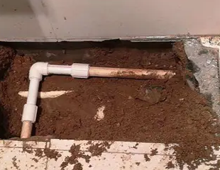 中站测漏水哪家好