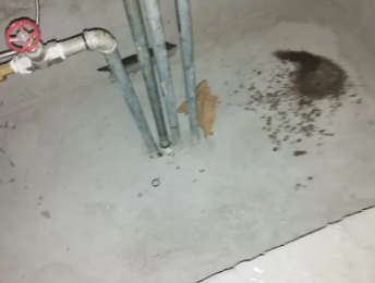 中站卫生间测漏水价格明细